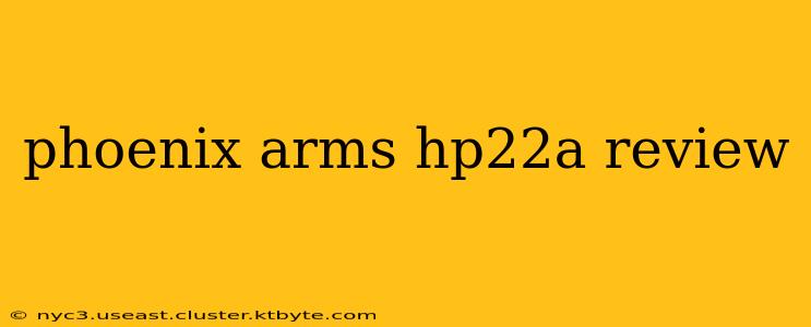 phoenix arms hp22a review