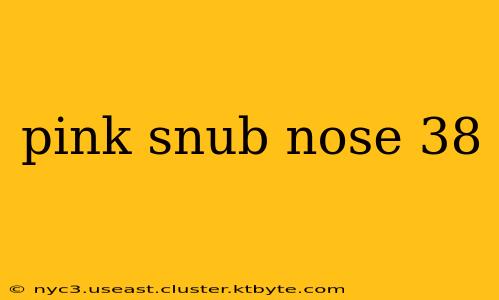 pink snub nose 38