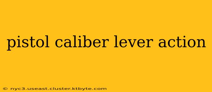 pistol caliber lever action