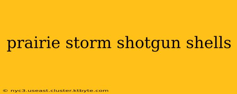 prairie storm shotgun shells