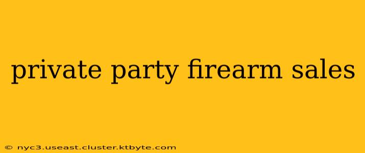 private party firearm sales