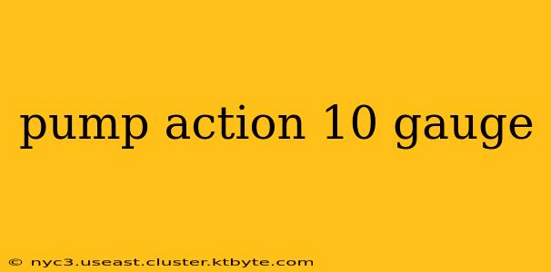 pump action 10 gauge