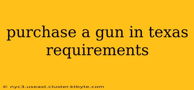 purchase a gun in texas requirements