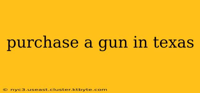 purchase a gun in texas