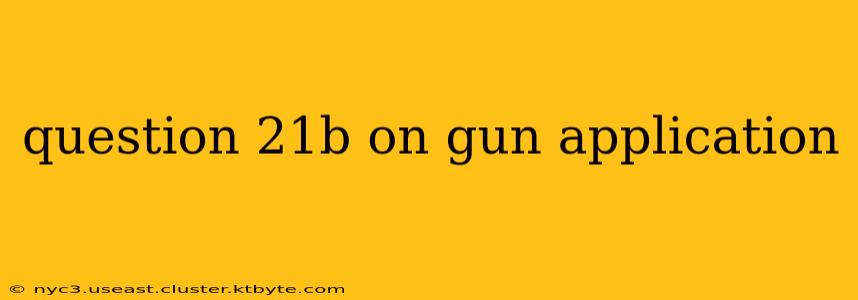 question 21b on gun application