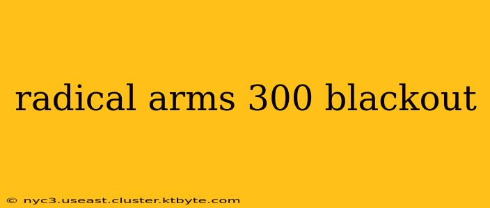 radical arms 300 blackout