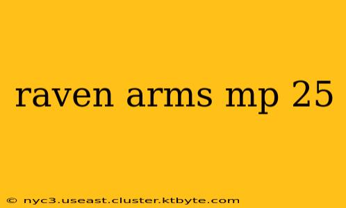 raven arms mp 25