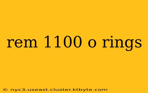 rem 1100 o rings