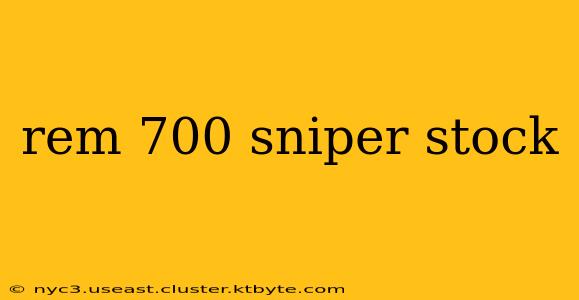 rem 700 sniper stock