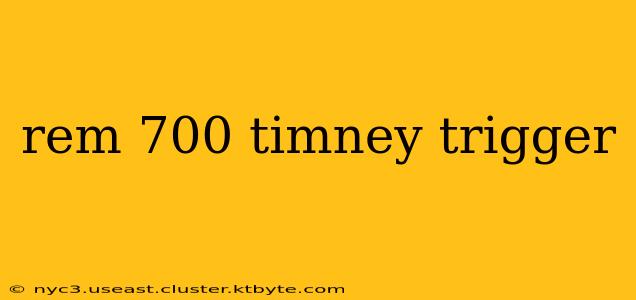 rem 700 timney trigger