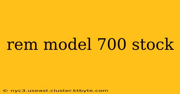 rem model 700 stock