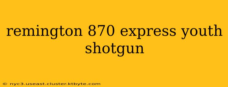 remington 870 express youth shotgun