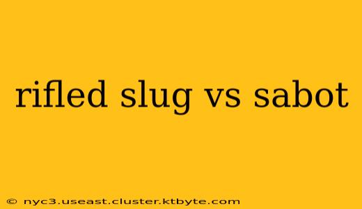 rifled slug vs sabot