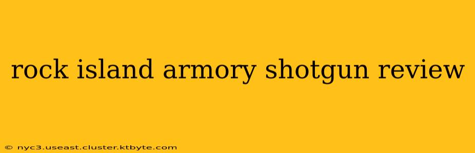 rock island armory shotgun review