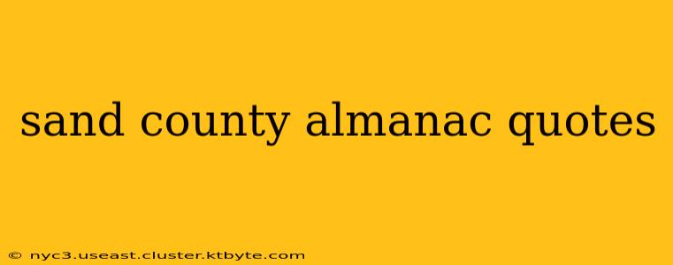 sand county almanac quotes