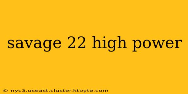 savage 22 high power