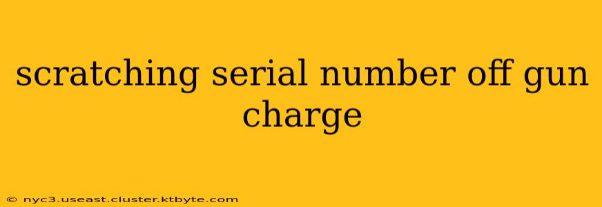 scratching serial number off gun charge