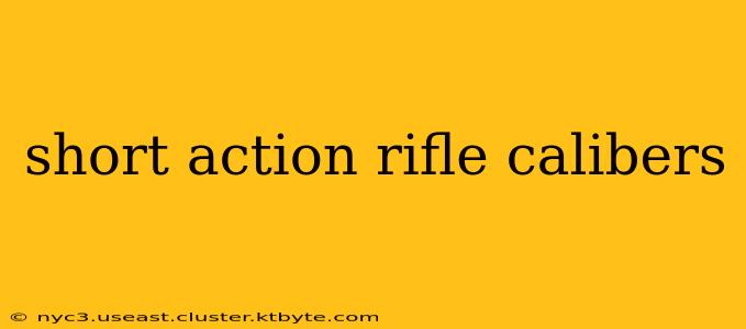 short action rifle calibers