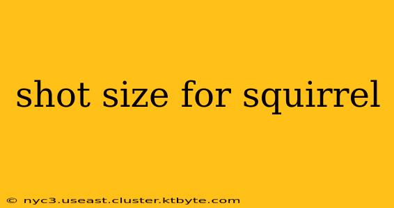 shot size for squirrel