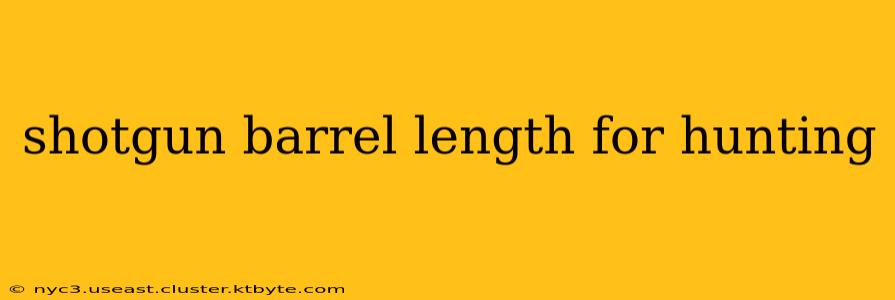 shotgun barrel length for hunting