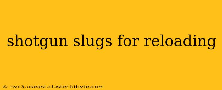 shotgun slugs for reloading