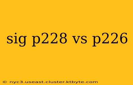 sig p228 vs p226