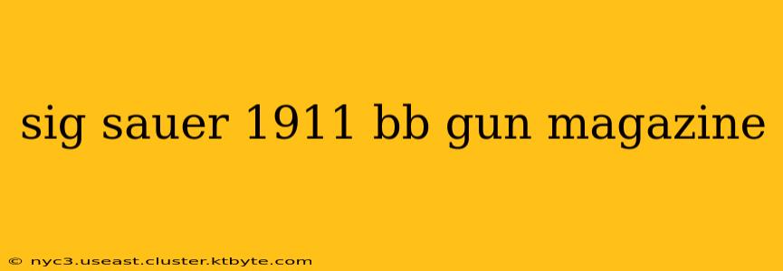 sig sauer 1911 bb gun magazine