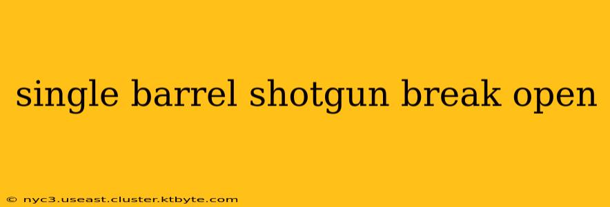 single barrel shotgun break open