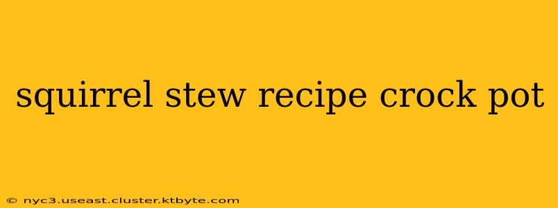 squirrel stew recipe crock pot