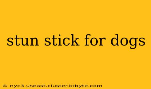 stun stick for dogs