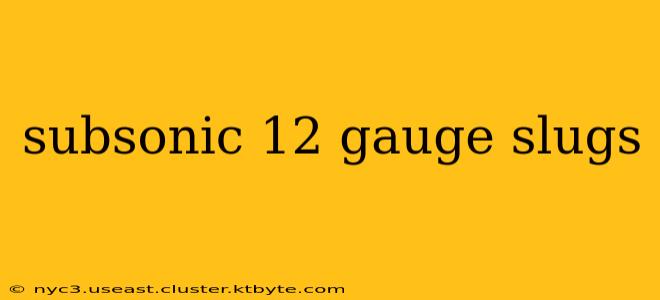 subsonic 12 gauge slugs