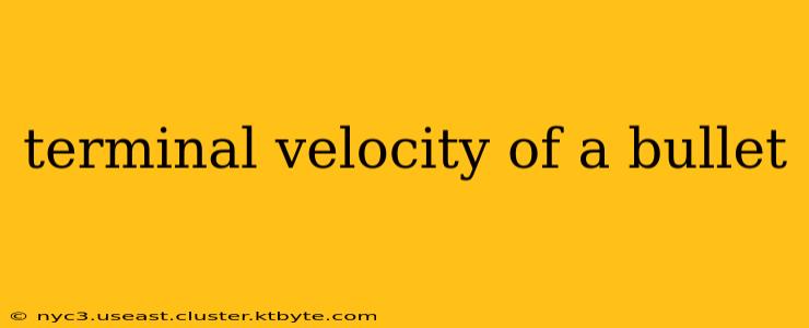 terminal velocity of a bullet