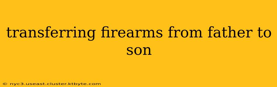 transferring firearms from father to son