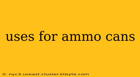 uses for ammo cans