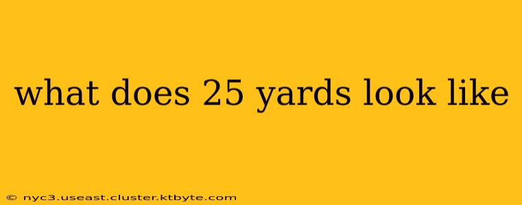 what does 25 yards look like