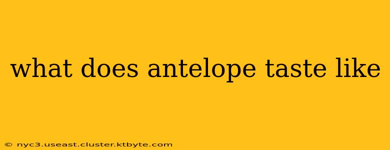 what does antelope taste like