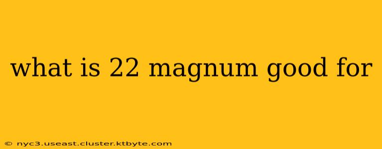 what is 22 magnum good for