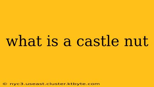 what is a castle nut