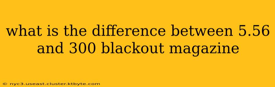 what is the difference between 5.56 and 300 blackout magazine