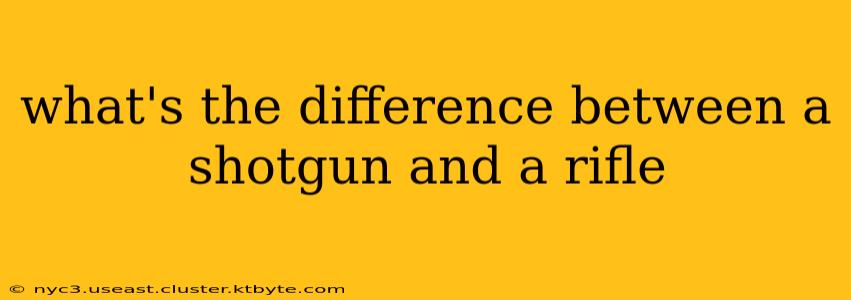 what's the difference between a shotgun and a rifle