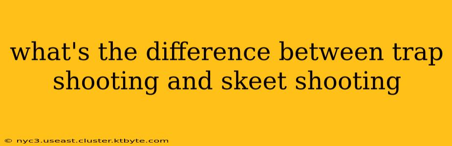 what's the difference between trap shooting and skeet shooting