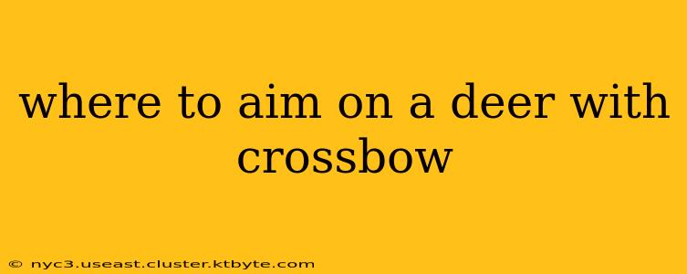 where to aim on a deer with crossbow