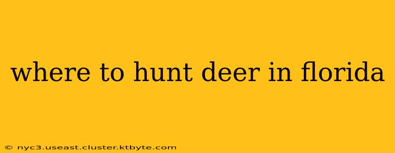 where to hunt deer in florida