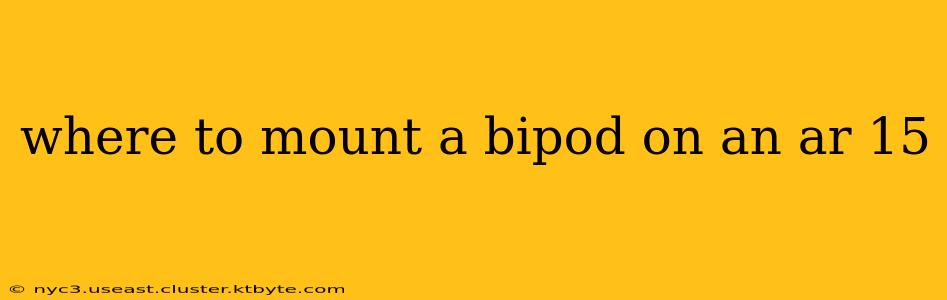 where to mount a bipod on an ar 15