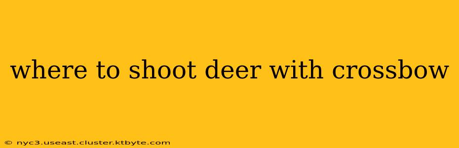 where to shoot deer with crossbow