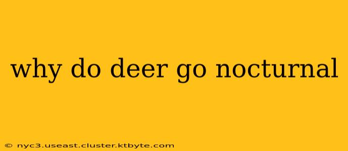 why do deer go nocturnal