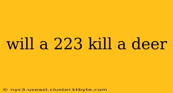 will a 223 kill a deer