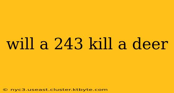 will a 243 kill a deer