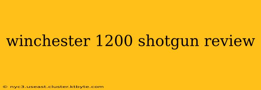 winchester 1200 shotgun review