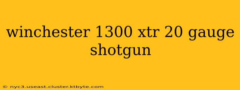 winchester 1300 xtr 20 gauge shotgun